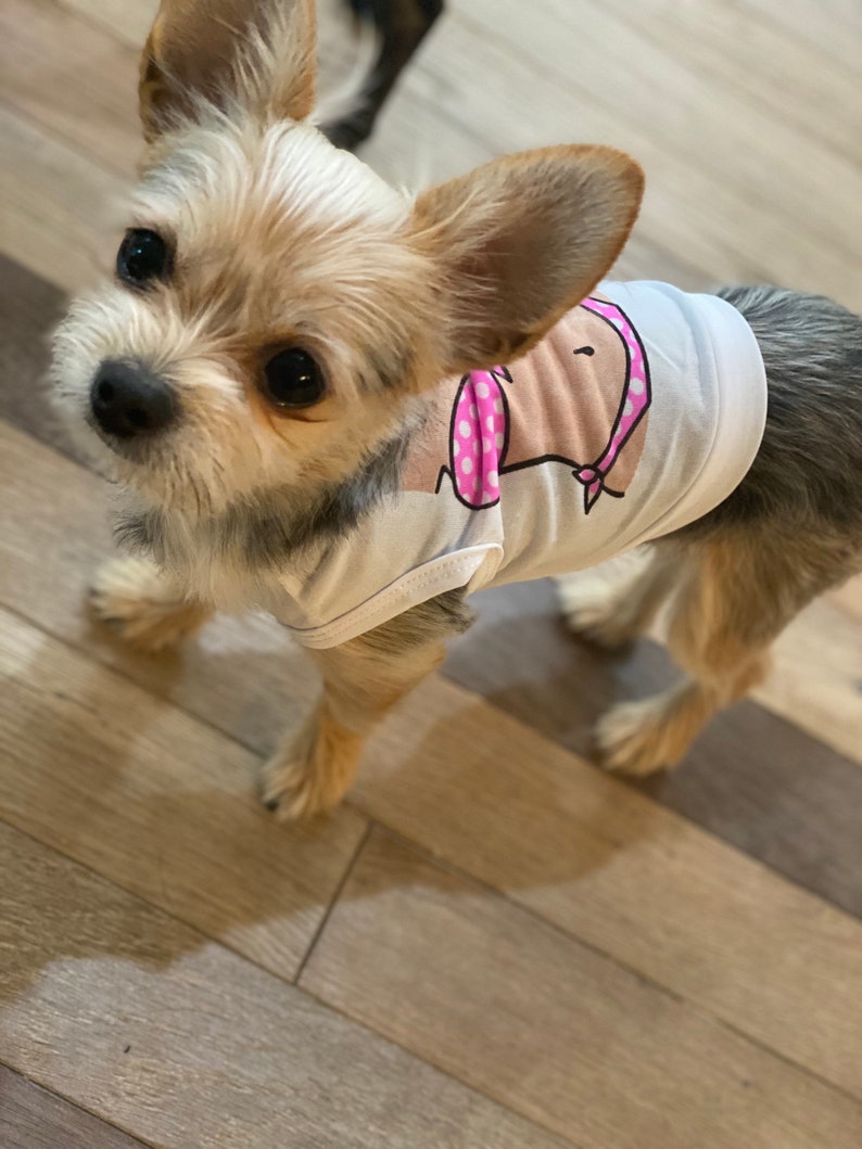Dog Bikini Swimsuit