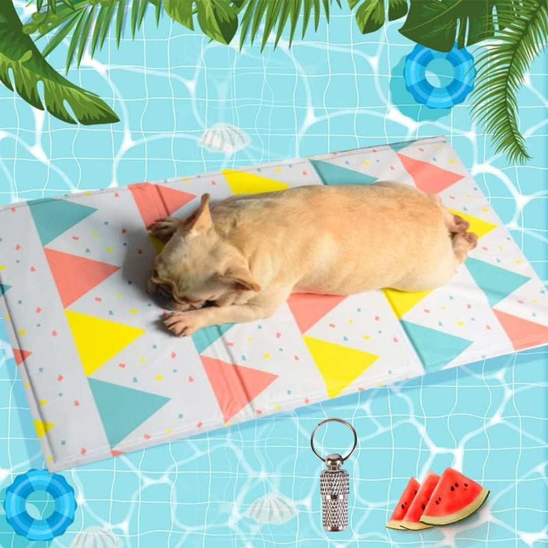 dog mat