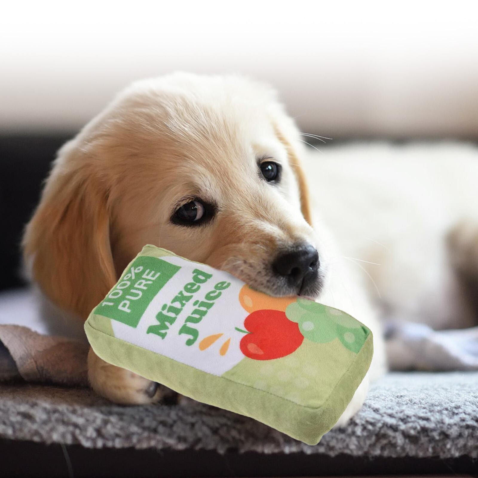 juice toy