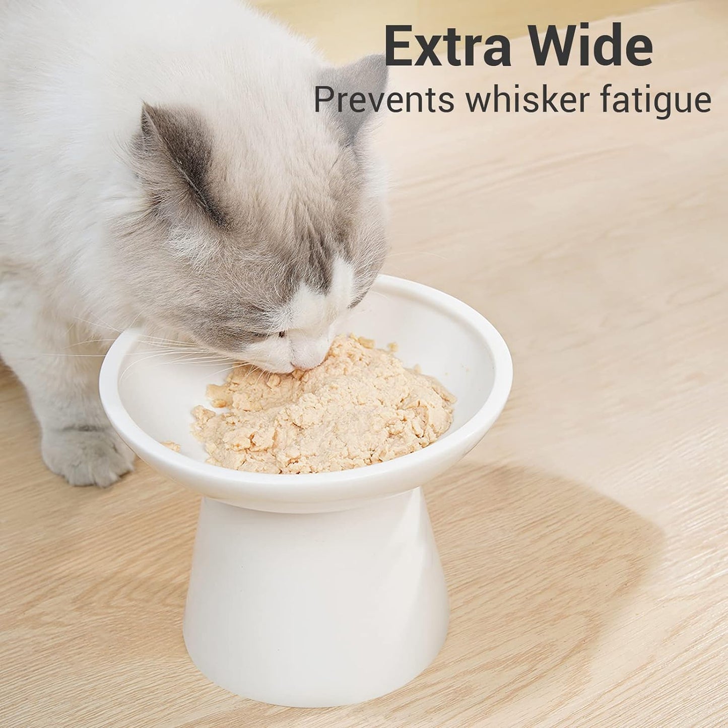 cat food bowl