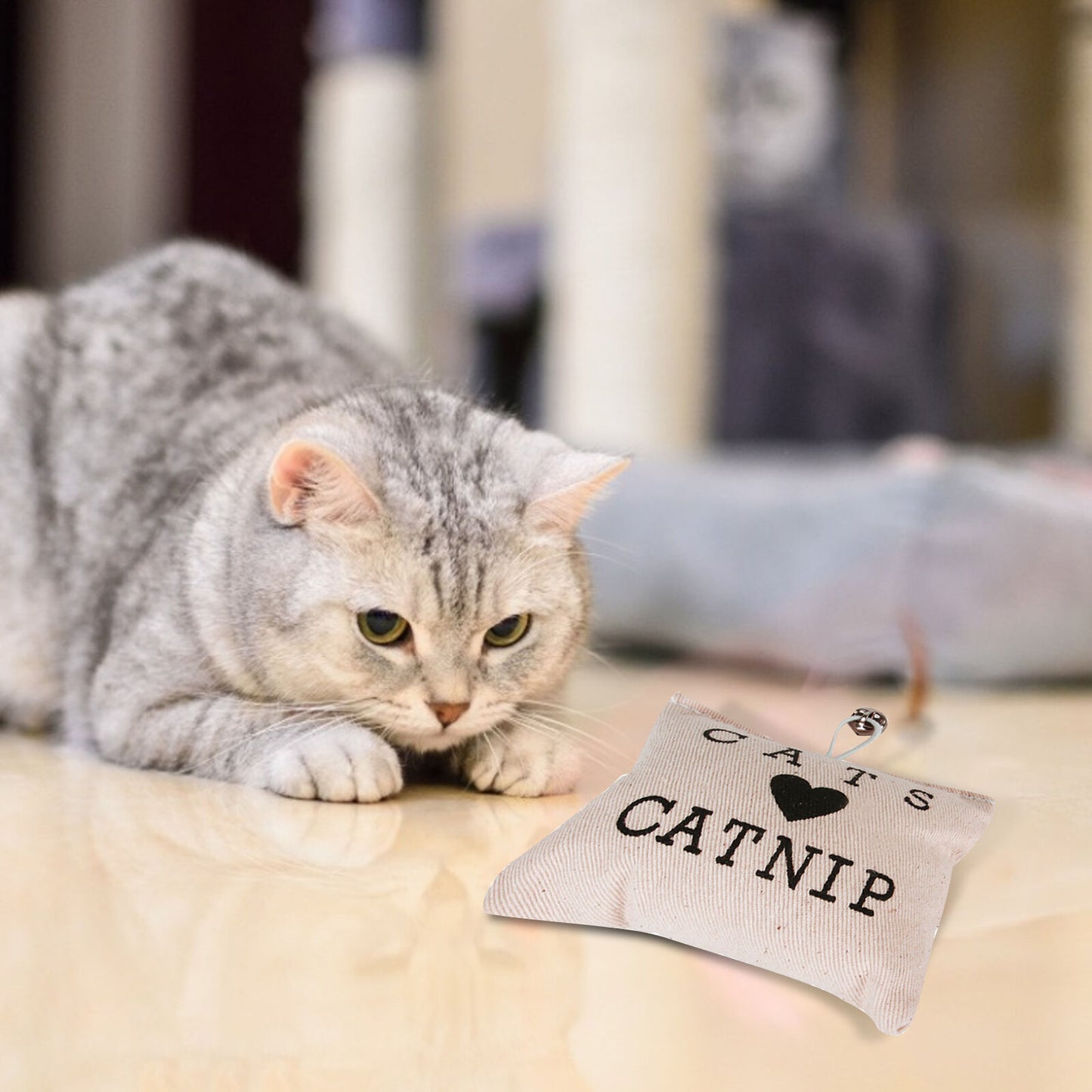 Jingle Purr-suit: Catnip Pouch with Bell – Your Kitty's Stylish Sack of Fun