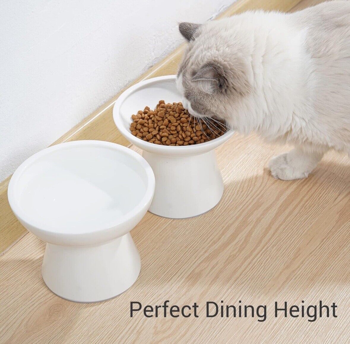 dog water bowl