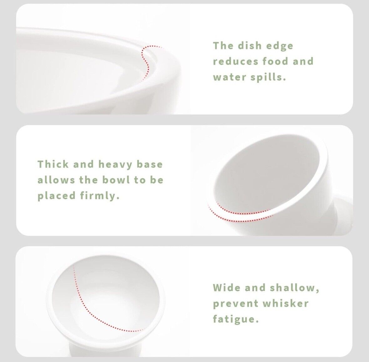 cat bowls for indoor cats