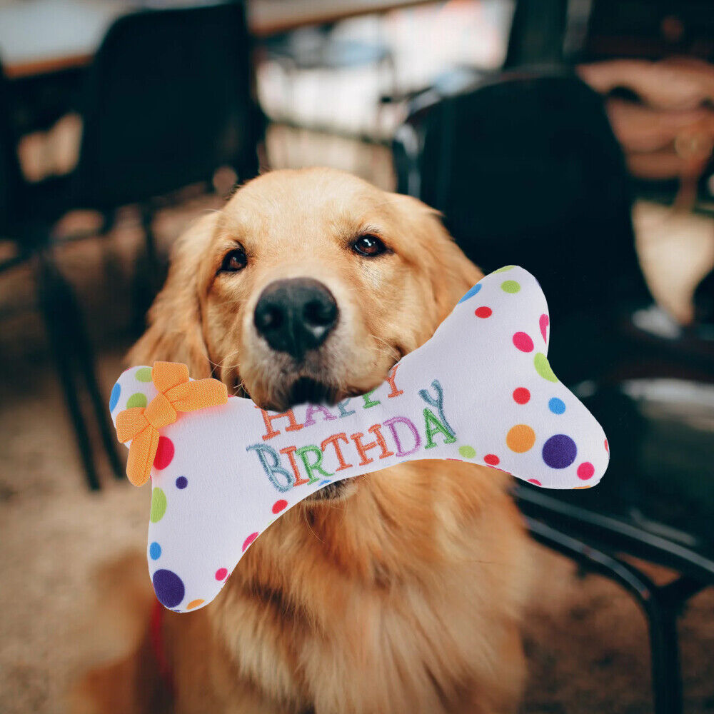dog chew toy