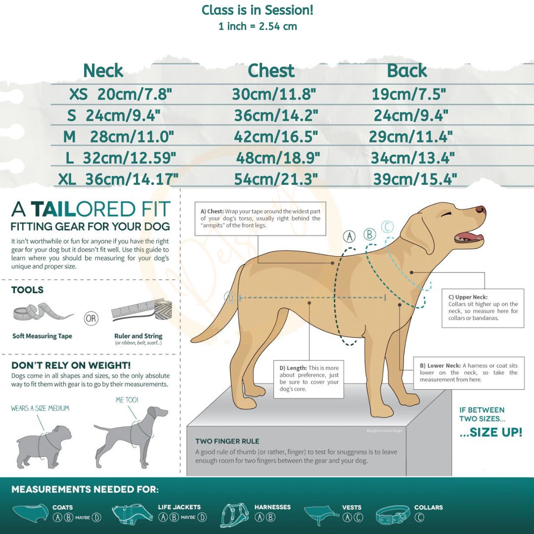 Sleeveless Dog Vest