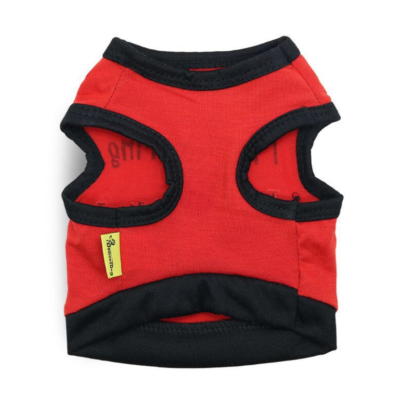 I'm Wearing Nothing Under This Shirt Red T-Shirt