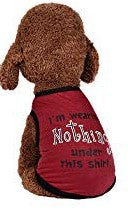 I'm Wearing Nothing Under This Shirt Red T-Shirt