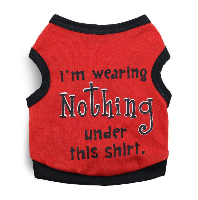 I'm Wearing Nothing Under This Shirt Red T-Shirt