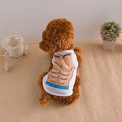Pet Vest
