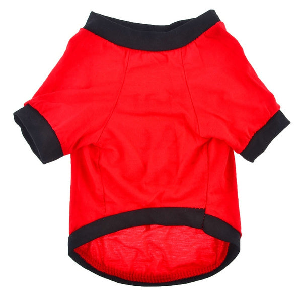 Summer Dog Shirt