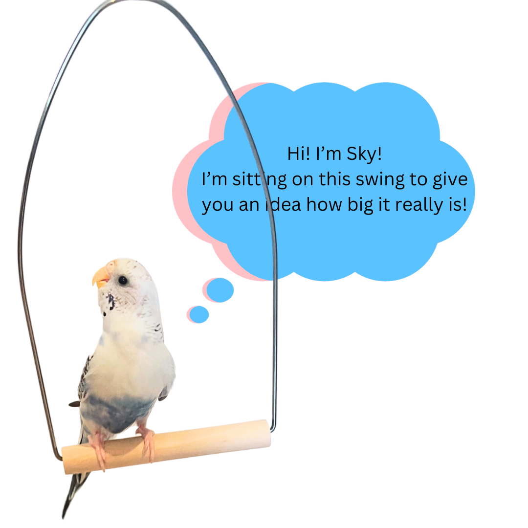 Bird Swing Perch