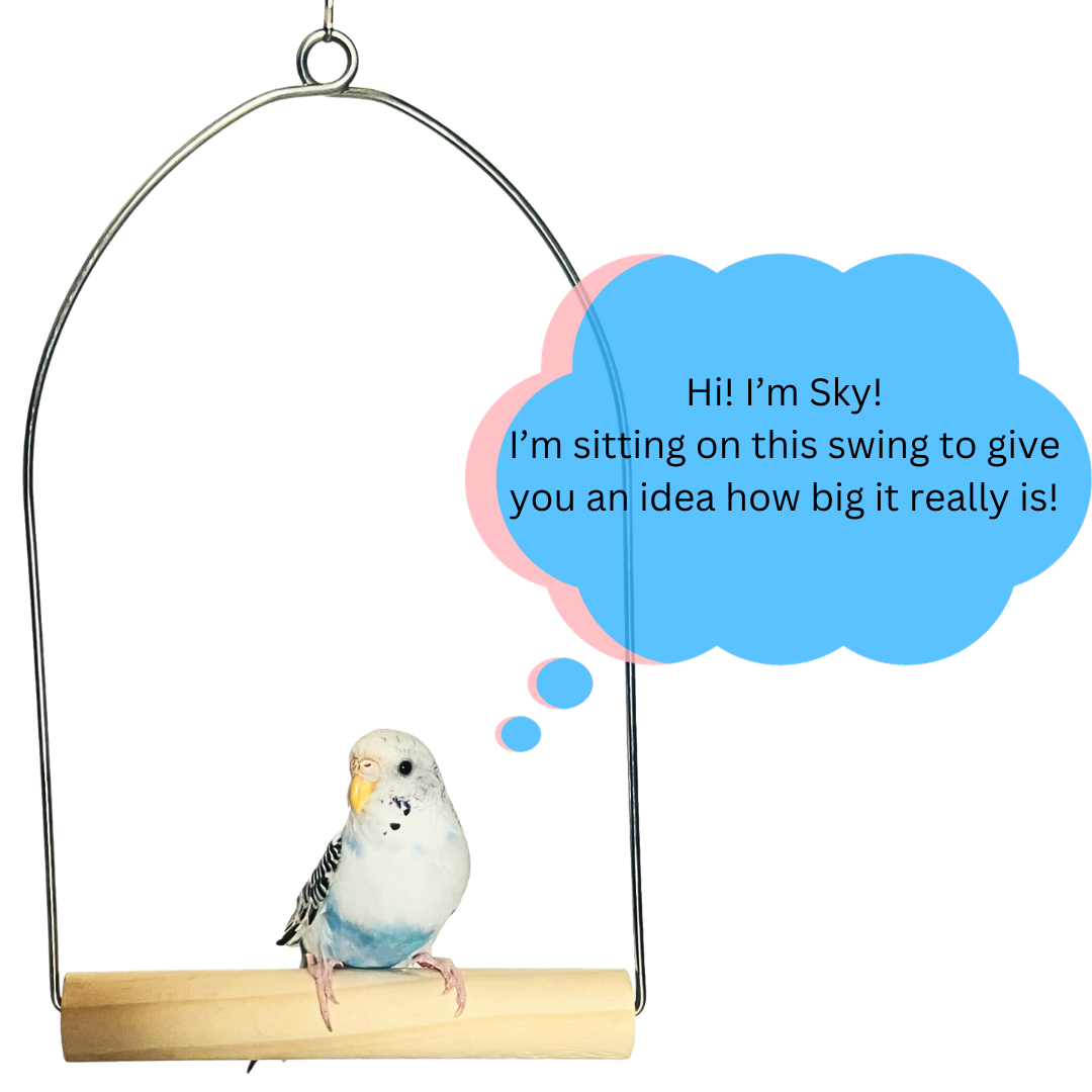Bird Swing Perch