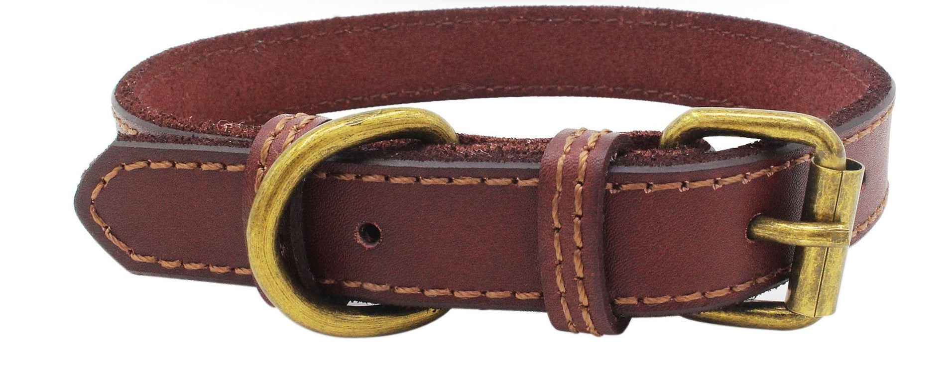 pet collar
