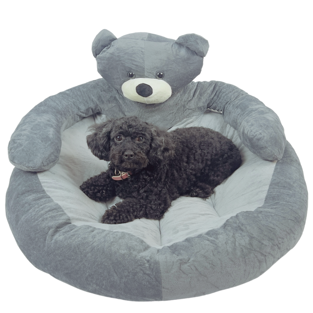 bed pillow dog