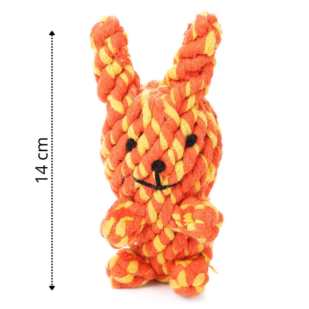 Hoppy Poopy Playtime Bunny Rope Toy