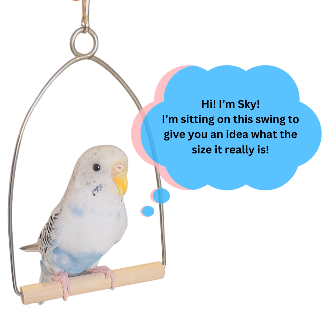 Bird Swing Perch