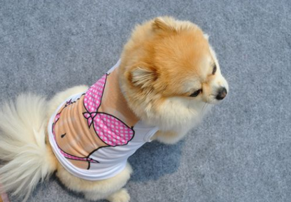 Dog Bikini Swimsuit 