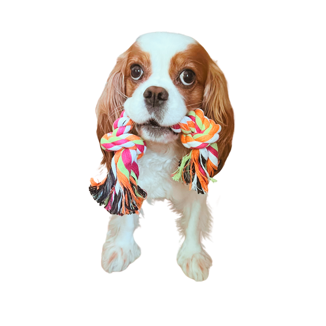 Cotton Rope Pet Dog Toy