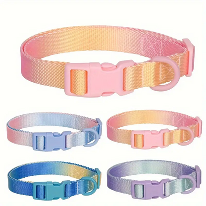 Sunrise Splash Nylon Dog Collar (Large)