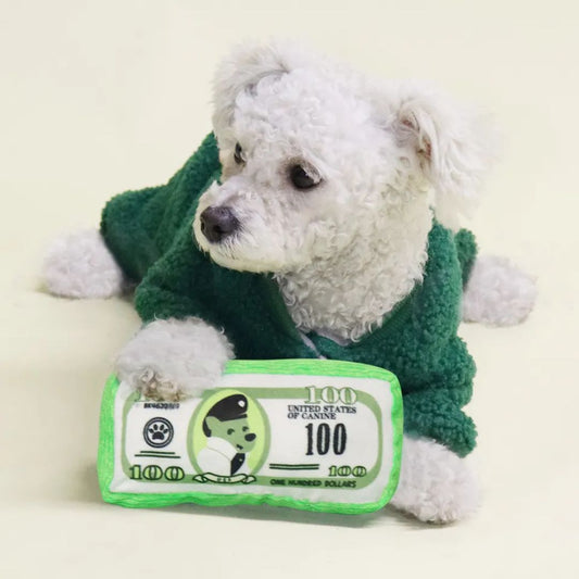 Playtime Riches - Plush Money Toy!