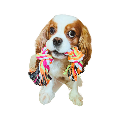 Cotton Rope Pet Dog Toy