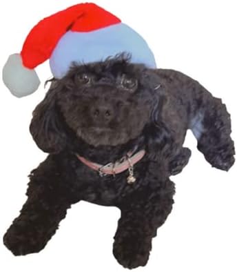 Festive Paws Elegance: Santa Hat for Dogs and Cats!