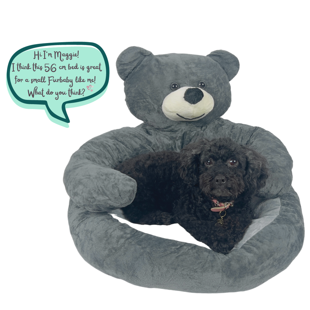 Hug A Teddy Bear Cuddle Bed (Medium, 55 cm)