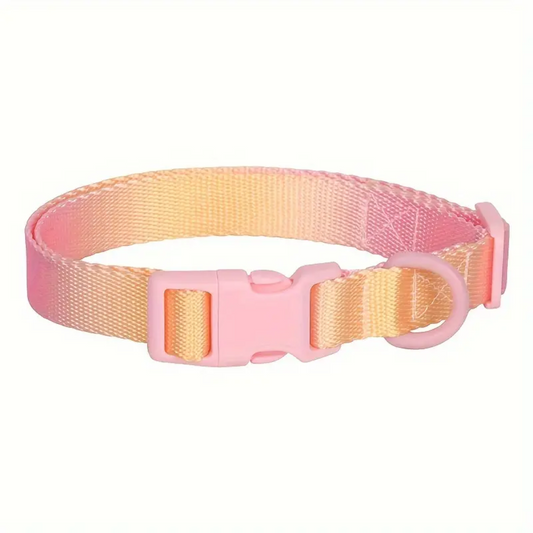 Sunrise Splash Nylon Dog Collar (Large)