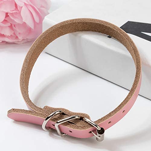 Heritage Collars - Raw Leather (XS, Pink)