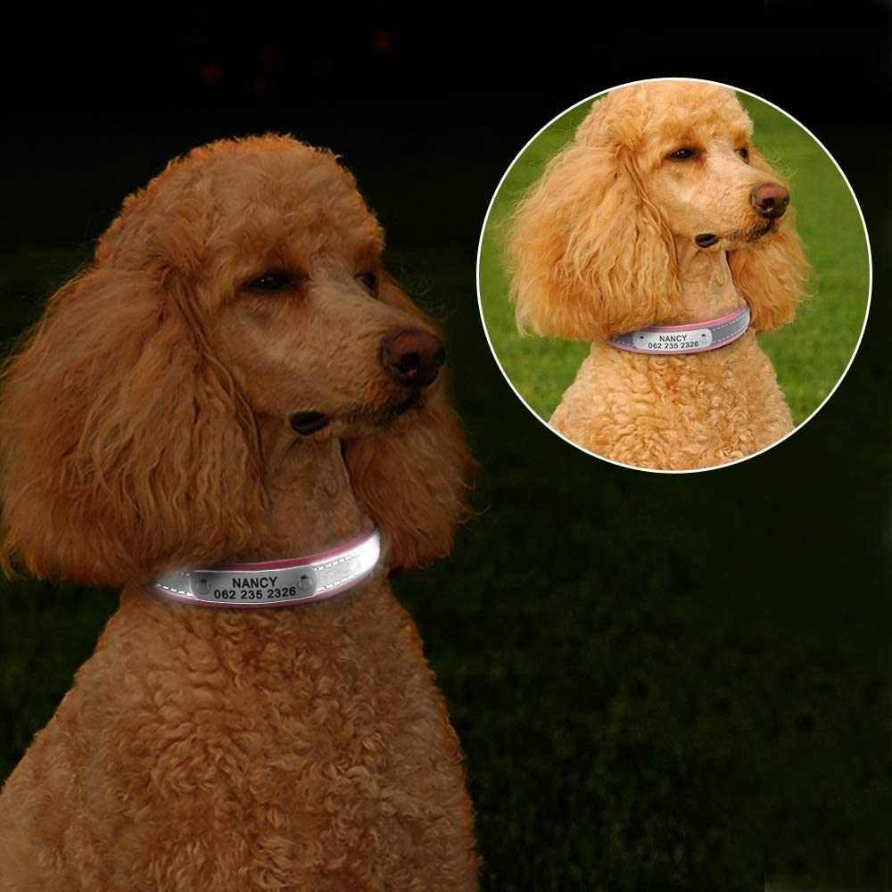 Radiance Collars: High Fiber Light Reflective (Purple, XS/S/M/L)