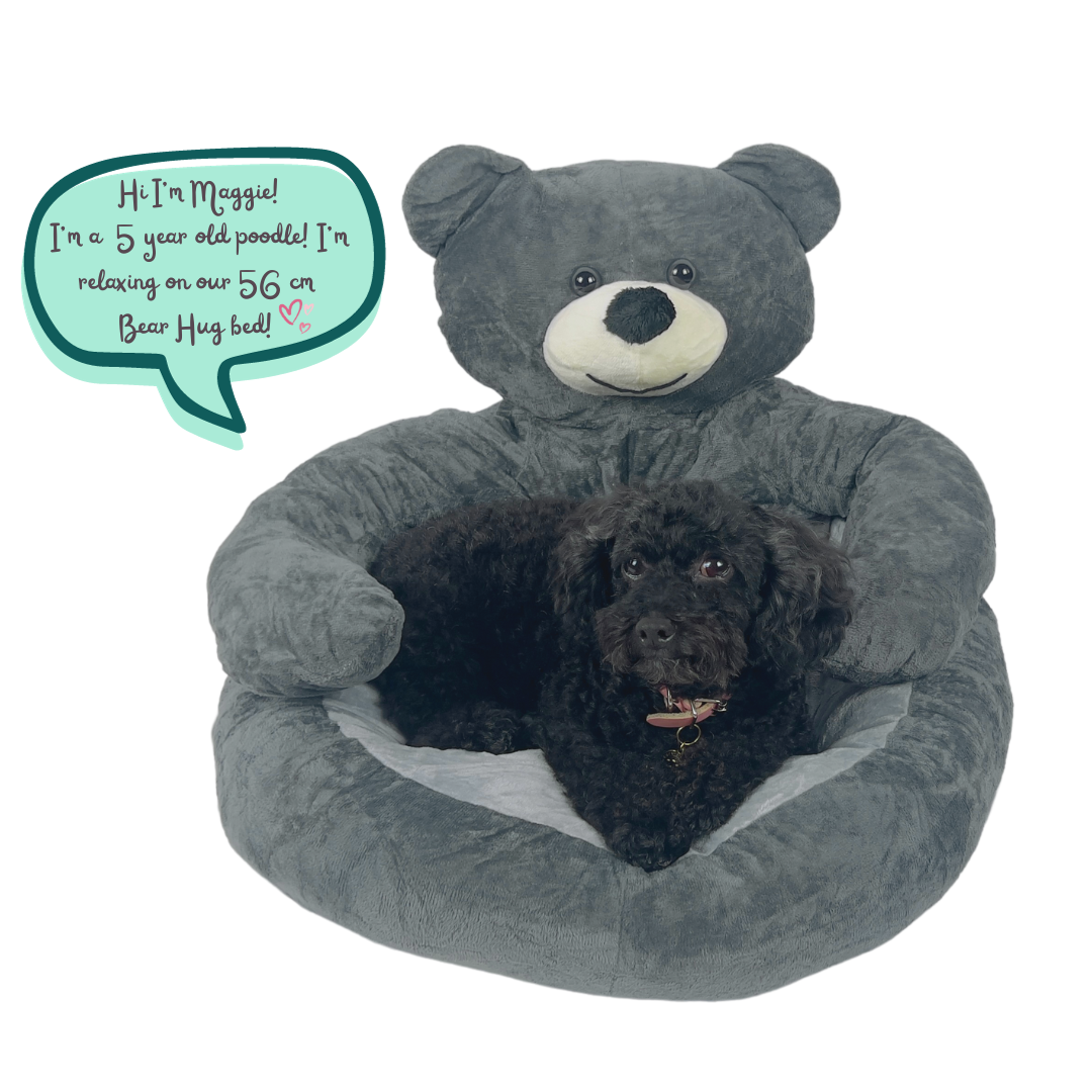 Hug A Teddy Bear Cuddle Bed (Medium, 55 cm)