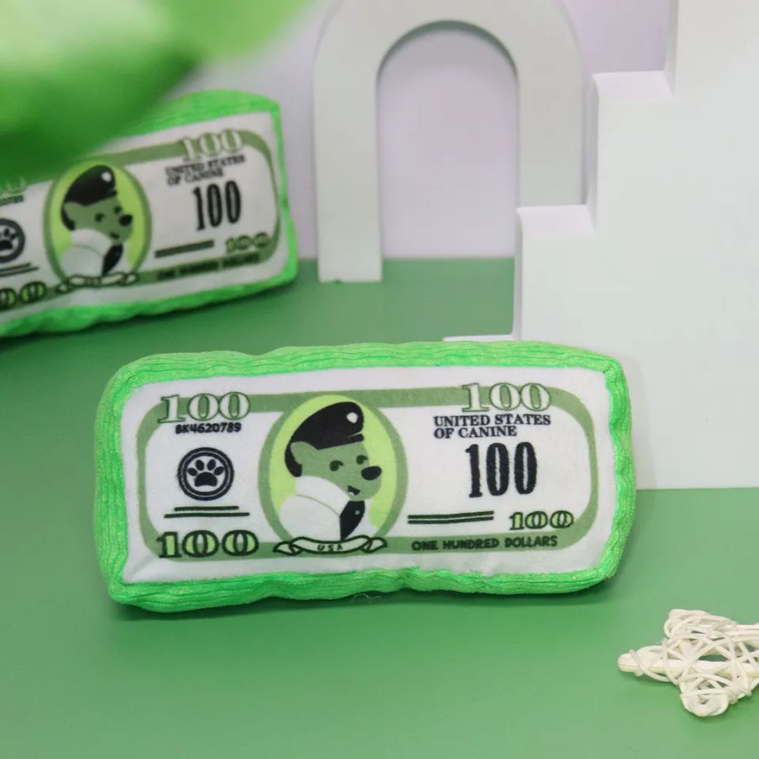 Playtime Riches - Plush Money Toy!