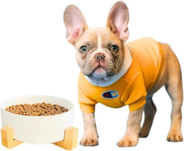 PETSARY Dogs Cats Ceramic Bowl with Bamboo Wood Stand (White, Large)