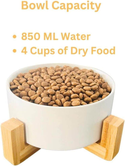 dog food bowl