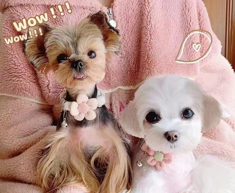 Cozy Blossom Plush Dog Collar