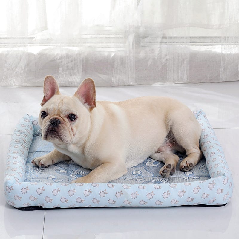 Teddy Bear Cooling Pad Bed - M