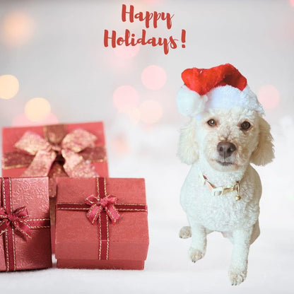 Festive Paws Elegance: Santa Hat for Dogs and Cats!