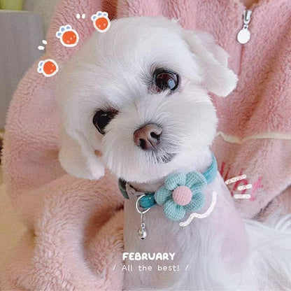 Cozy Blossom Plush Dog Collar