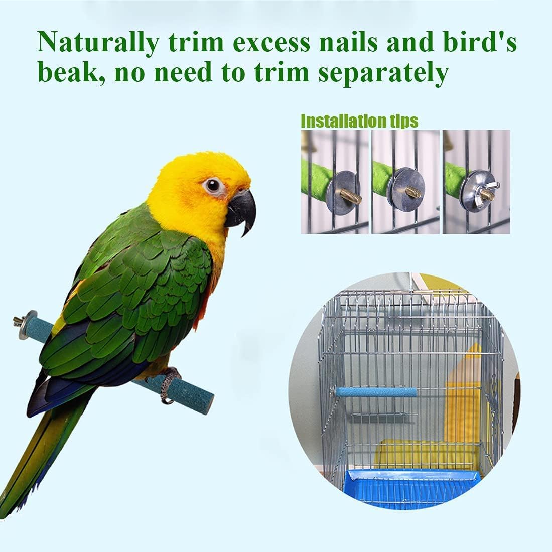 Petsary Sandy Bird Paws Paradise: Parrot Pedicure Perch! (Orange)