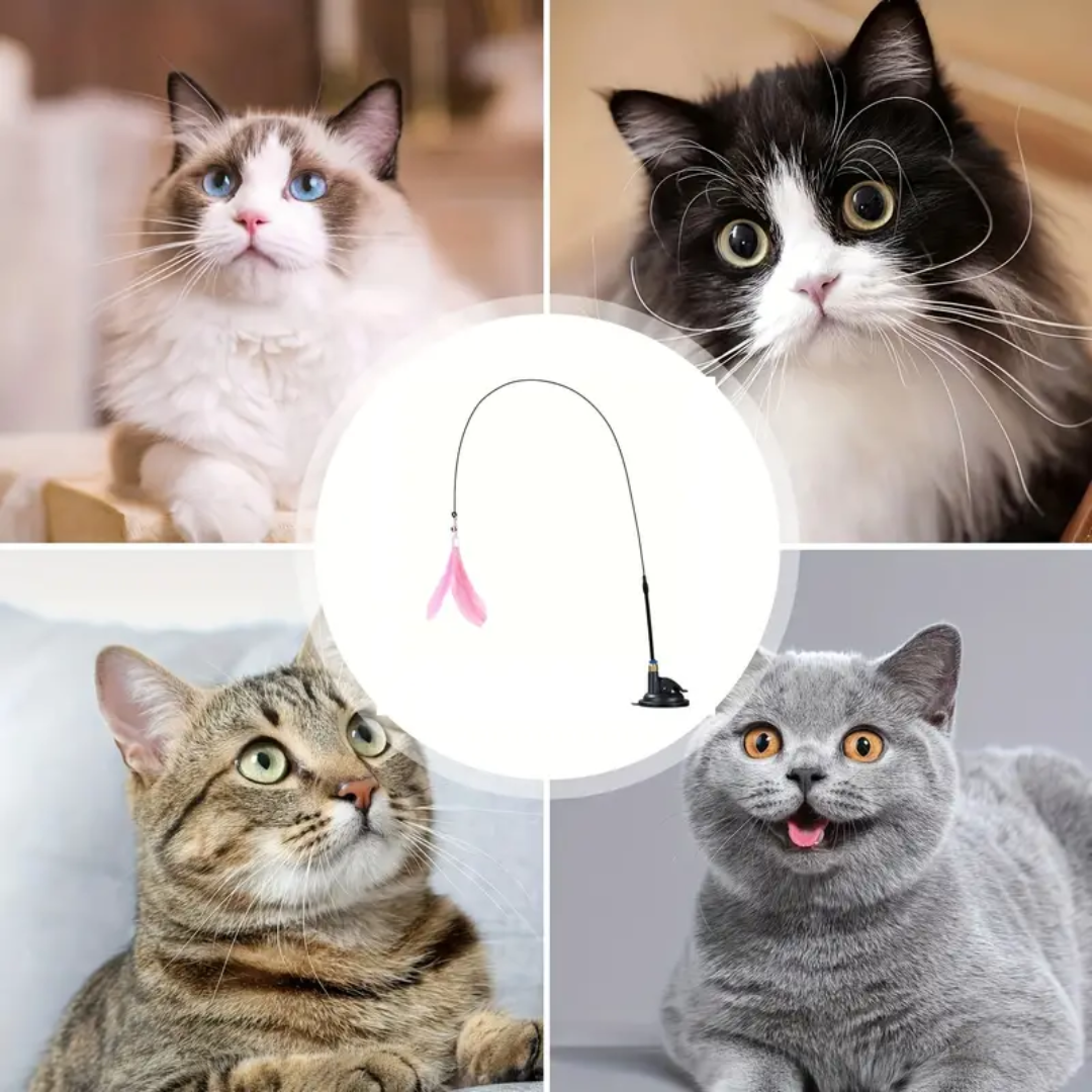 Cat Teaser Toy: Blushing Pink