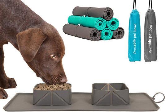 On-the-Go Paws: Portable Foldable Pet Bowl with a Carry bag