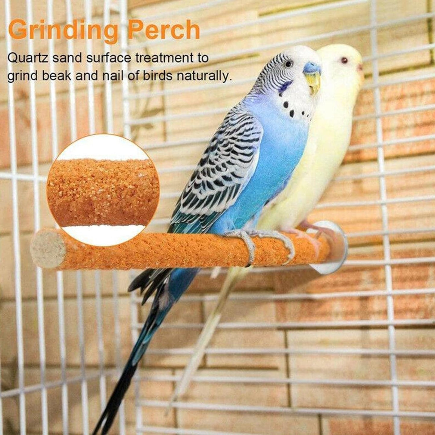 Petsary Sandy Bird Paws Paradise: Parrot Pedicure Perch! (Orange)