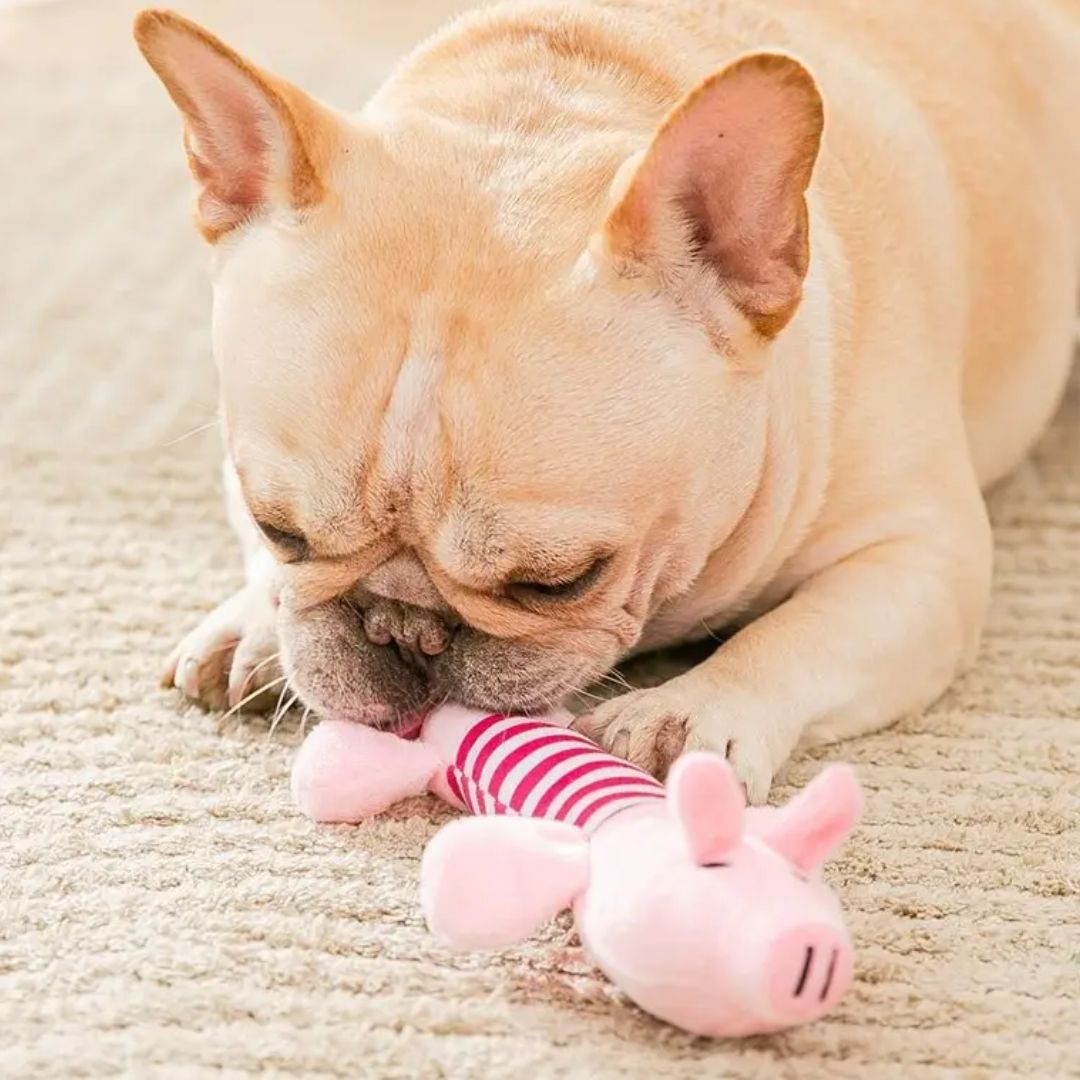 Oink-tastic PETSARY Piggy Plush Toy