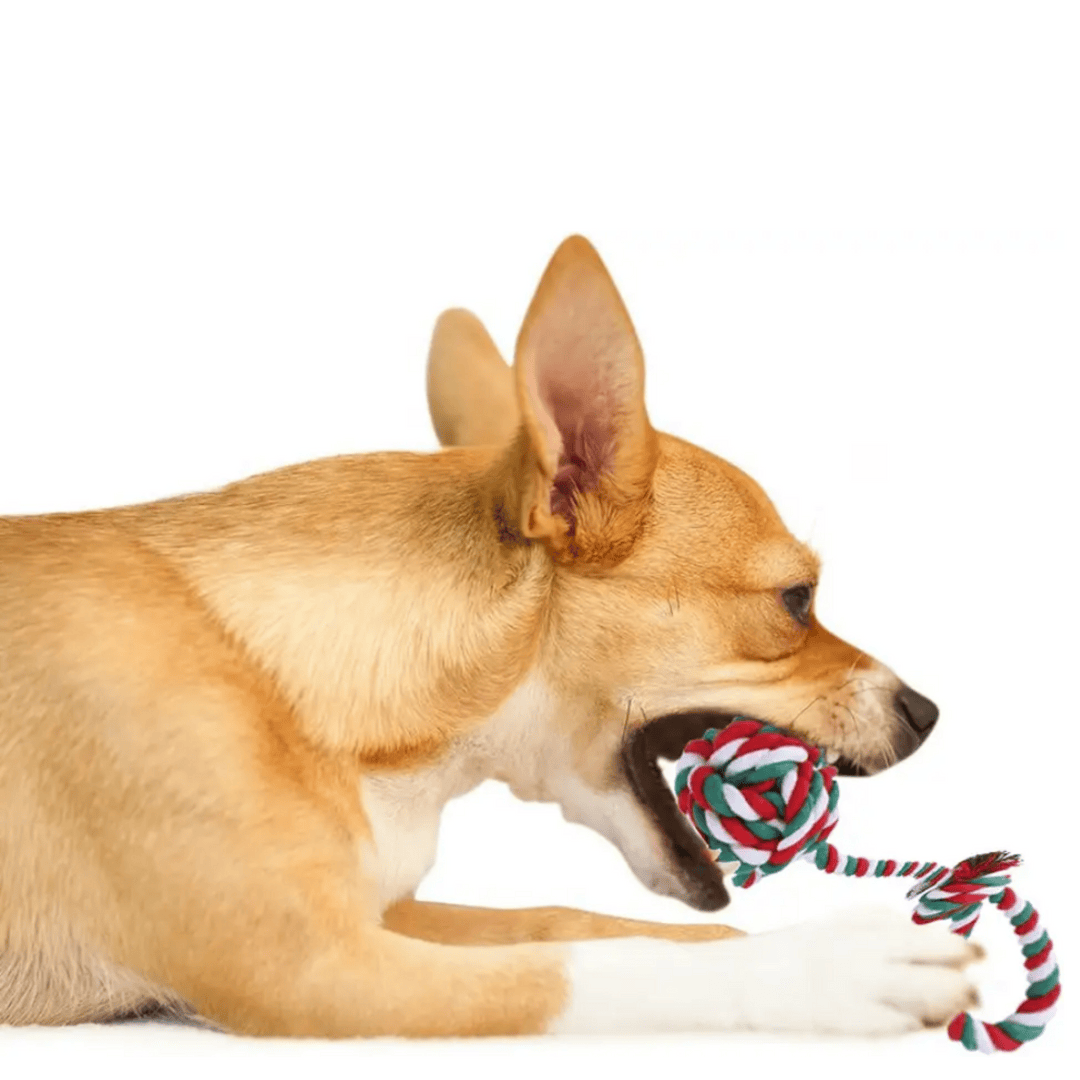 Christmas Dog Toy