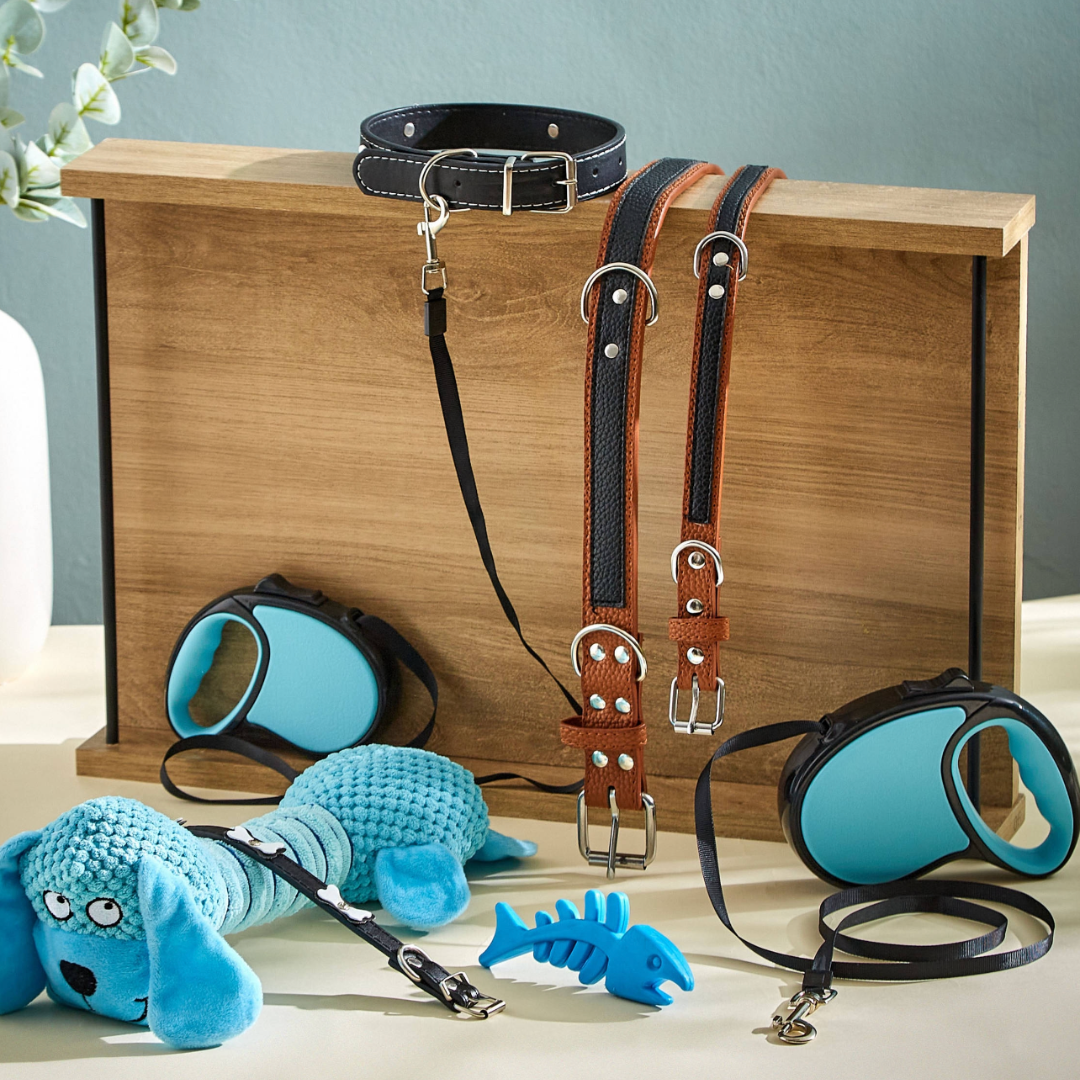 Stylish Leather Collars (Medium)