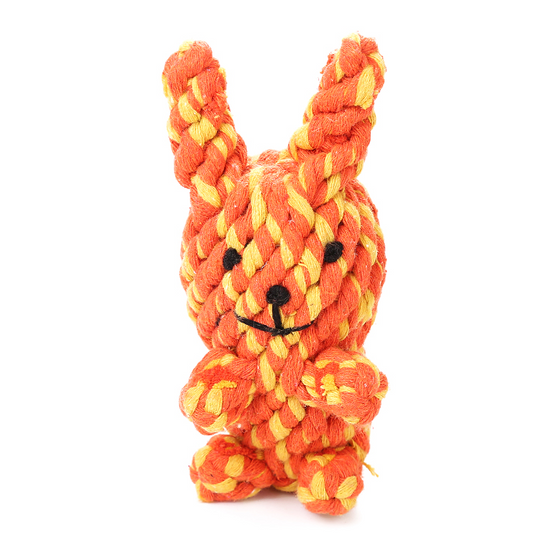 Hoppy Poopy Playtime Bunny Rope Toy