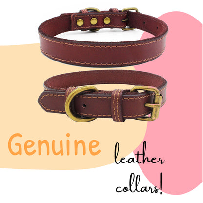 Mini Trendsetter: Genuine Leather Dog Collar (Brown, Small)