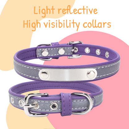 Radiance Collars: High Fiber Light Reflective (Purple, XS/S/M/L)