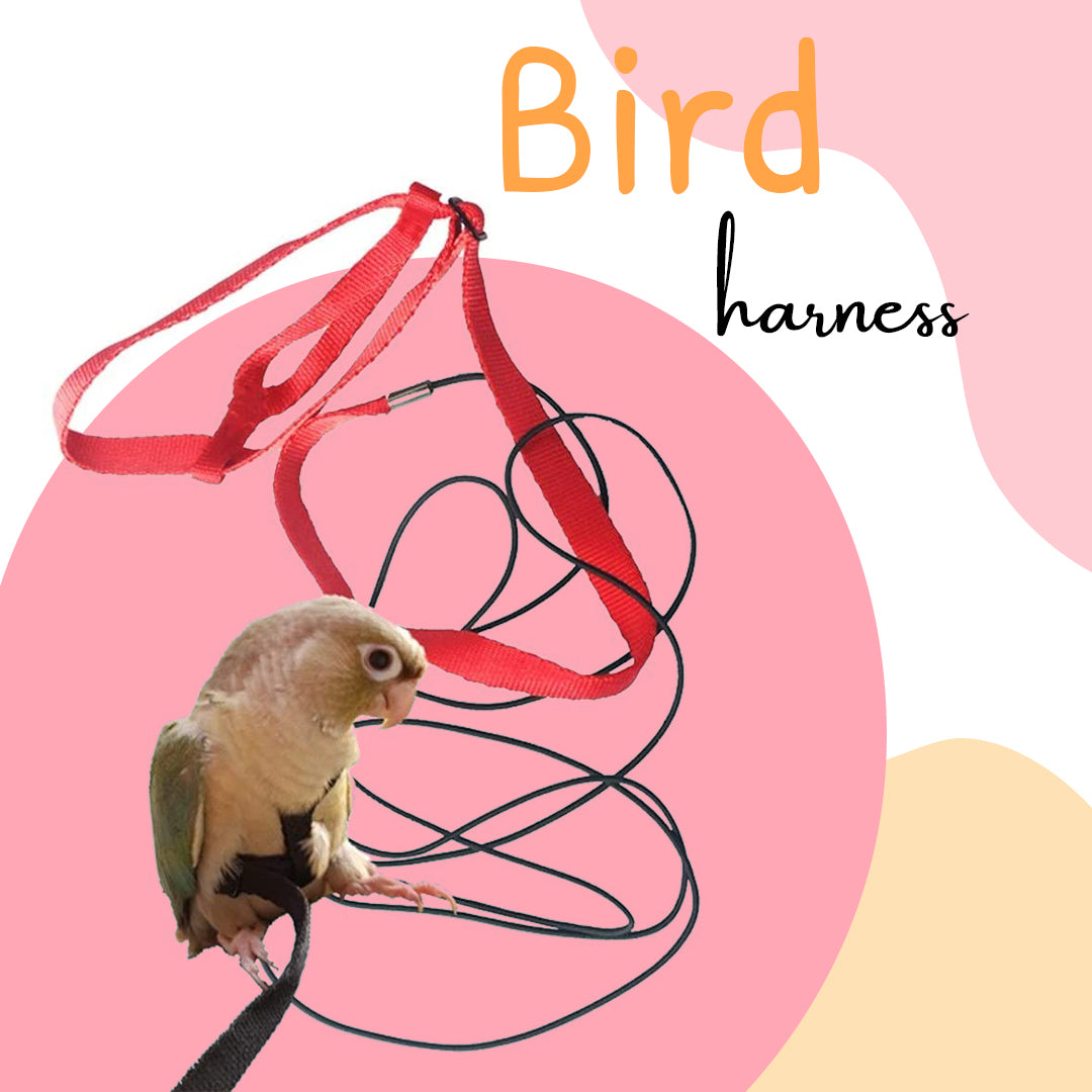 Aviator Bird Harness