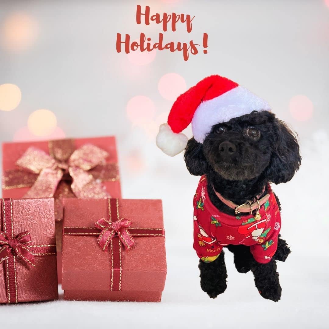 Festive Paws Elegance: Santa Hat for Dogs and Cats!